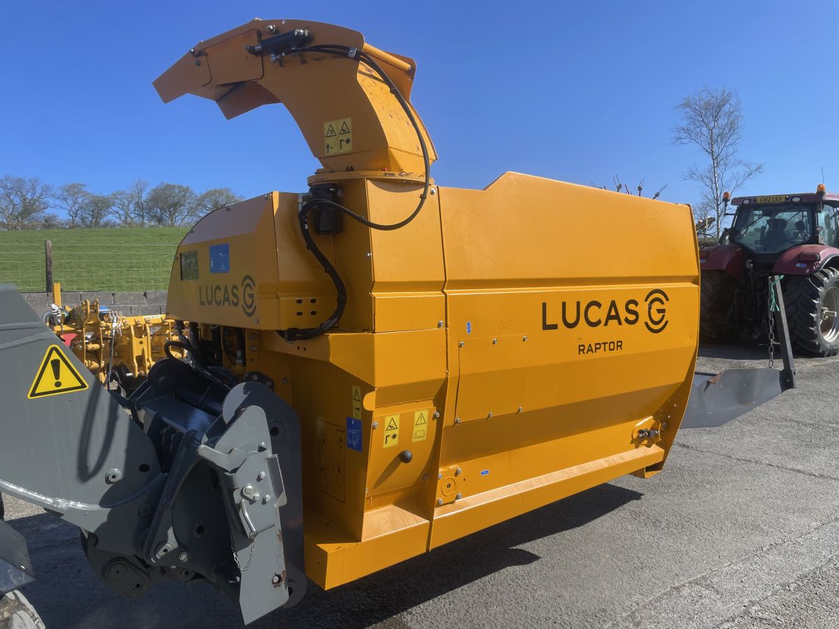 Lucas G Raptor
